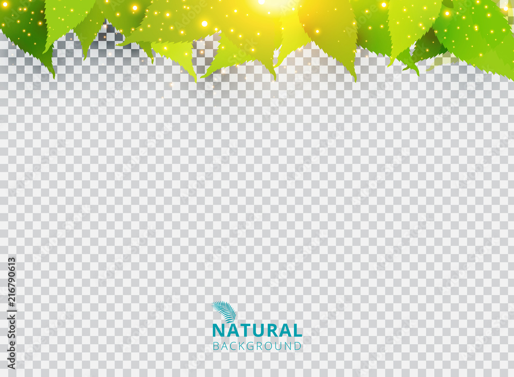 Wall mural spring summer natural green background with leaves and lighting effect on transparent background.