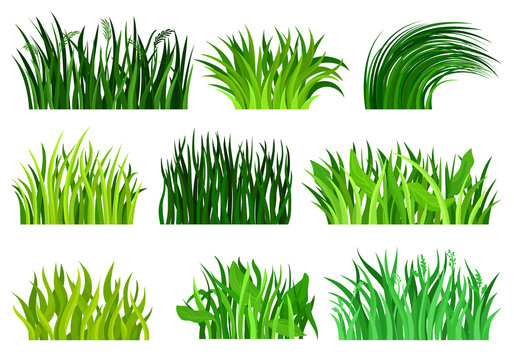 Cartoon Grass Images – Browse 309,568 Stock Photos, Vectors, and Video |  Adobe Stock