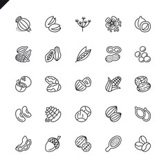 Thin line nuts, seeds and beans elements icons set for website and mobile site and apps. Outline icons design. 48x48 Pixel Perfect. Linear pictogram pack. Vector illustration.