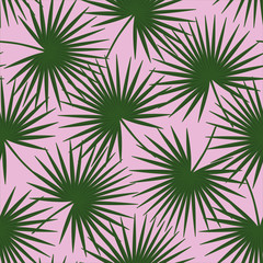 green palm leaves on a pink background livistona rotundifolia palm tree natural exotic tropical hawaii seamless pattern vector - 216790817