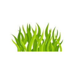 Flat vector illustration of bright green grass. Natural landscape element. Wild herb. Nature and ecology theme. Decorative border