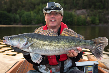 Obraz premium Big walleye fish caught at early morning