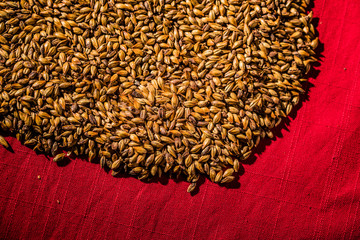 Beer Barley Malted Caramel Grains Macro Texture