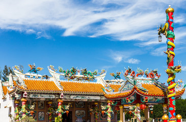 Fototapeta premium Chinese dragon