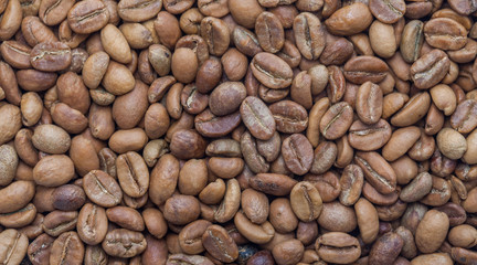 raw coffee beans
