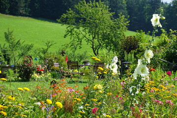 wunderschöner Sommergarten mit heimischen Blumen