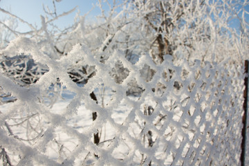 Beautiful winter landscape. Texture of snow covered on the fence.