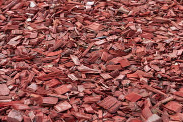 Decorative bark, mulch, mulching. Decorative wood chips. Bright natural pine wooden shavings brown colored for protecting plants on flower beds and lawns. With a flower bed fragment. Medium size.
