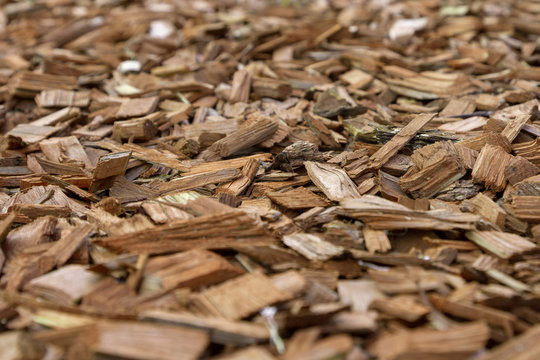 Decorative bark, mulch, mulching. Decorative wood chips. Natural pine mulch brown colored for protecting plants on flower beds and lawns. Edges of the photo are blurred. Medium size.