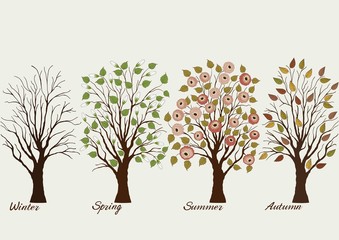 Trees in four seasons - winter, autumn, summer, spring