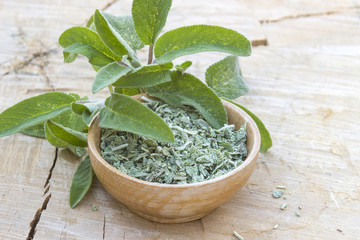 fresh and dried sage