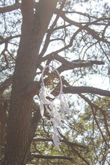 Dream Catcher and blanket outdoor