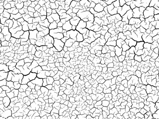 The cracks texture white and black. Vector background.Cracked earth. Structure of cracking. Cracks in dry surface soil texture.