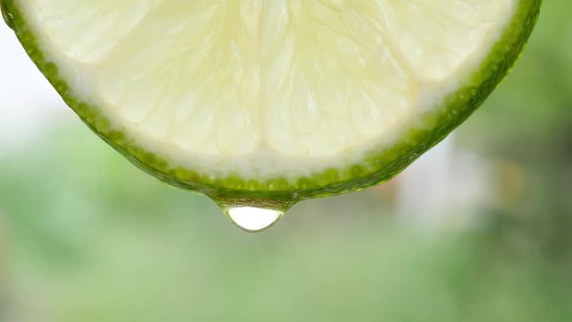 Macro of a slice of green lemon with water drop in slow motion