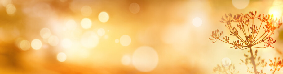 Golden abstract bokeh background