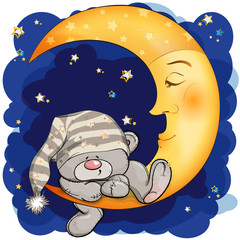 Fototapeta premium A Teddy bear went to sleep on the moon