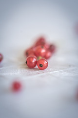 Red Currants - Berries
