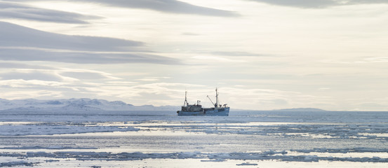 A trawler in Disko Bay, east Greenland - 216801607