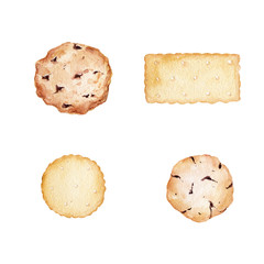 Watercolor chocolate biscuites dessert