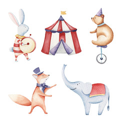 Circus watercolor illustration, elephant, bunny, fox, birds