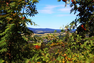 Fototapeta na wymiar Blick vom Berg durch die Bäume auf die Berge vom Fichtelgebirge 