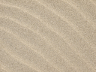Sand texture.Dented wave of the blow of the wind
