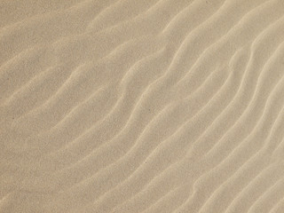 Sand texture.Dented wave of the blow of the wind