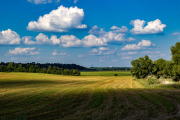 Beautiful beveled agricultural field against a blue sky with clouds
