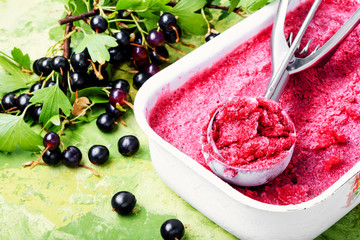 Delicious berry ice cream