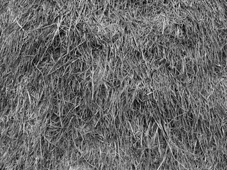 Dry hay closeup image as natural background