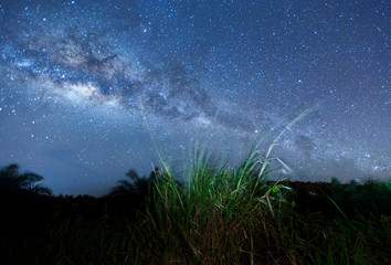 Milky Way galaxy rise above Kudat, Malaysia sky. Starry and clear night sky. soft focus and noise...
