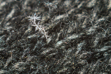 snowflake macro photo