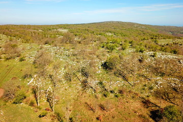Karst landscape in Gargano
