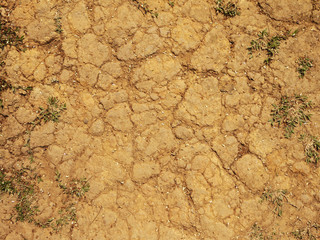 Red Dirt Road texture