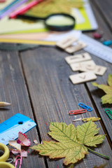schoolboy items on the table
