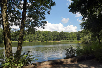 volkspark jungfernheide
