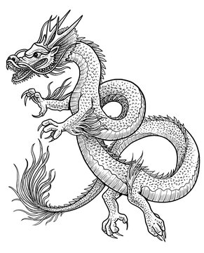 Asian dragon illustration, drawing, engraving, ink, line art, vector
