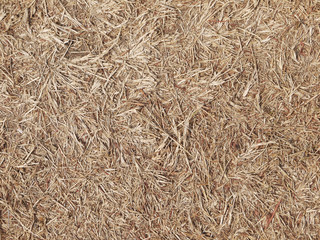 hay dry grass background