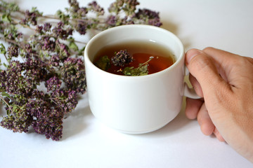 Cup of herbal tea in hand and herbs on a light background