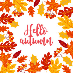 Greeting card with rowan berry, maple and oak leaves