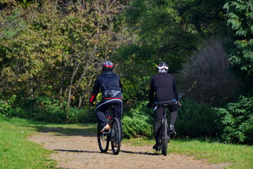 Fototapeta premium Sportive men riding bikes in forest