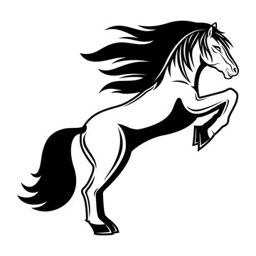 Sign of horse on a white background.