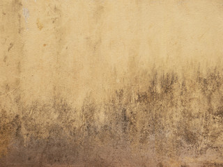 Aged cement wall texture with mold