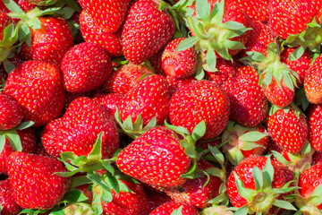 texture of the strawberry