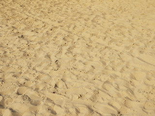 Sand beach texture