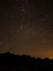 Fototapeta premium nacht