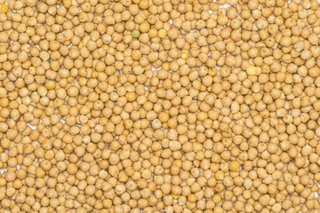 Lot of whole raw chickpeas kabuli variety background flatlay on grey wood