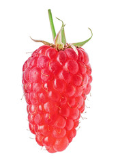 Fresh raspberry isolated on white background. Clipping path