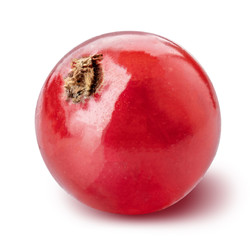 Obraz premium Red currant isolated on white background. Clipping path