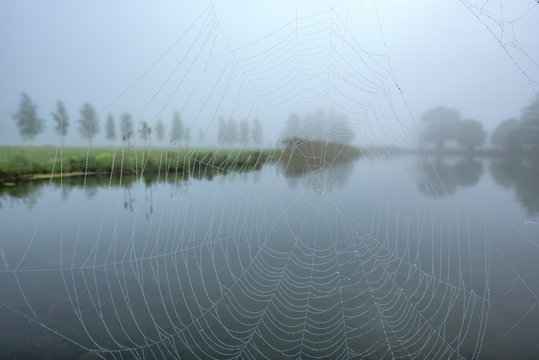 Schlehdorf, Kochel Lake, Bad T&ouml;lz-Wolfratshausen district, Upper Bavaria, Germany, Europe. .Cobweb with morning dew at boathouse jetty at Kochelsee